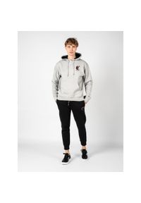 Champion - Bluza trekking męska Hoodie. Kolor: szary. Materiał: poliester, bawełna. Wzór: nadruk. Sport: turystyka piesza #1