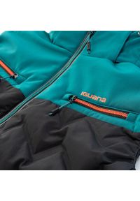 Kurtka puchowa bez rękawów Iguana Odel. Kolor: czarny. Materiał: puch. Długość rękawa: bez rękawów. Sport: turystyka piesza #1