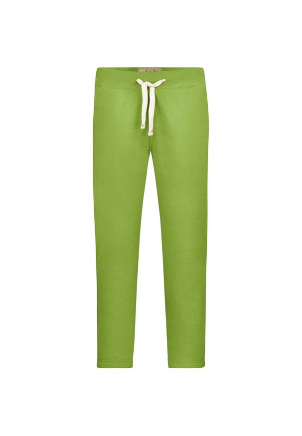 VAN NICHOLAS - James & Nicholson Męskie Spodnie Dresowe Vintage, Fluo Zielony, S. Kolor: niebieski, wielokolorowy, zielony. Materiał: dresówka. Styl: vintage