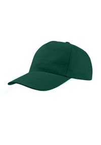 ATLANTIS - Rozpocznij 5 Panel Cap. Kolor: zielony