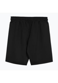 PITBULL - Spodenki męskie Pitbull Track Shorts Powers. Kolor: czarny
