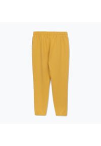 PITBULL - Spodnie męskie Pitbull Track Pants Powers. Kolor: żółty