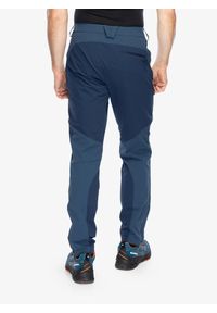 Spodnie trekkingowe męskie Rab Torque Mountain Pants. Kolor: niebieski. Sport: turystyka piesza
