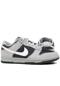 Buty męskie trampki sportowe Nike DUNK LOW. Kolor: wielokolorowy, czarny, szary