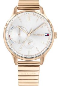 Zegarek Tommy Hilfiger ZEGAREK DAMSKI TOMMY HILFIGER BROOKE (zf522a) #1