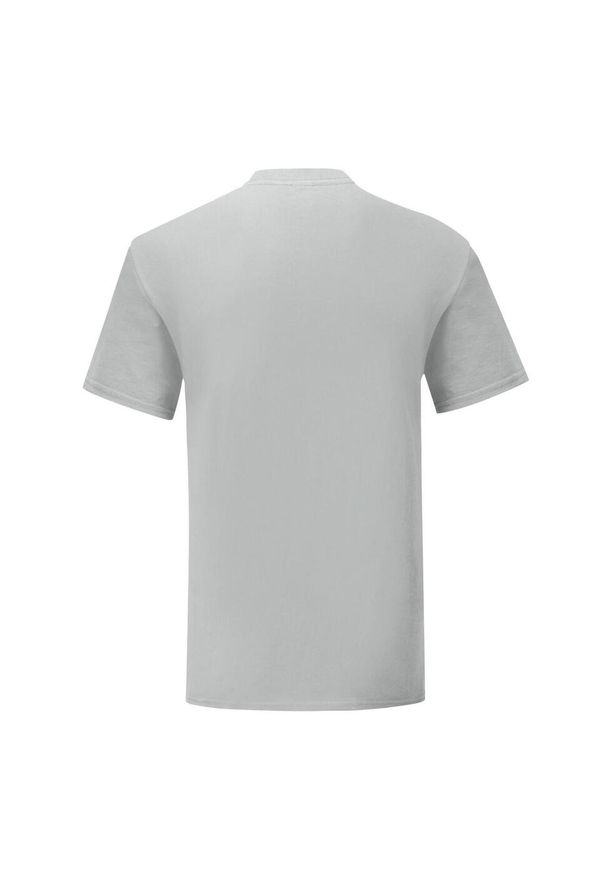 FRUIT OF THE LOOM - Kultowa Koszulka Unisex Dla Dorosłych. Kolor: szary