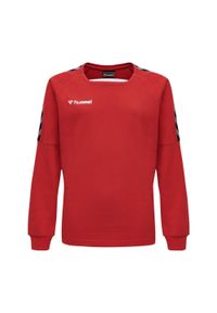 Bluza do piłki ręcznej dla dzieci Hummel hmlAUTHENTIC Training. Kolor: czerwony, różowy, wielokolorowy. Sport: joga i pilates