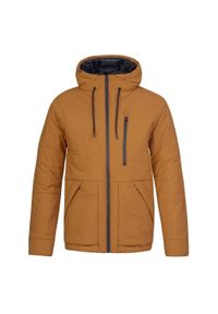 Kurtka zimowa męska Hannah Dalon Resstex 5000 Duratherm High Loft wodoodporna. Kolor: brązowy. Materiał: poliester, puch. Sezon: zima. Sport: turystyka piesza #1
