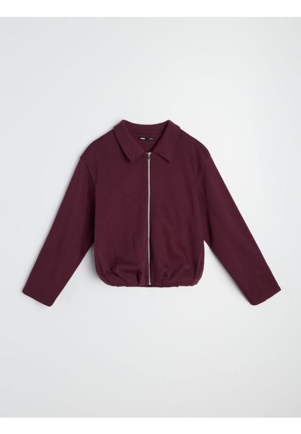 Sinsay - Bluza z bawełną z zamkiem i kołnierzykiem - bordowy. Kolor: czerwony. Materiał: bawełna