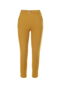 Born2be - Żółte Spodnie Skinny Aeliyah. Kolor: żółty. Materiał: polar. Długość: długie. Wzór: aplikacja #3