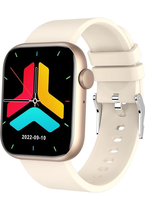 Smartwatch Gravity GT3-6 Beżowy. Rodzaj zegarka: smartwatch. Kolor: beżowy