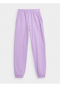 4f - 4F Spodnie dresowe 4FJAW23TTROF426 Fioletowy Regular Fit. Kolor: fioletowy. Materiał: bawełna #1
