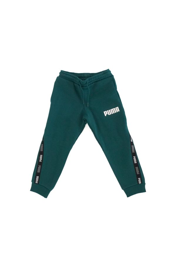 Puma Spodnie Tape 67407413. Kolor: szary