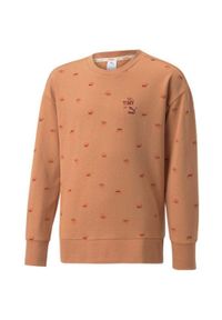 Bluza Puma dla dzieci 110 - Wygoda z miękkiej bawełny. Kolor: wielokolorowy. Materiał: bawełna. Wzór: nadruk. Sport: piłka nożna