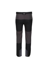 Regatta - Dziecięce Spodnie Trekkingowe Tech Mountain. Kolor: szary, fioletowy, wielokolorowy, czarny. Sezon: lato. Sport: turystyka piesza #2