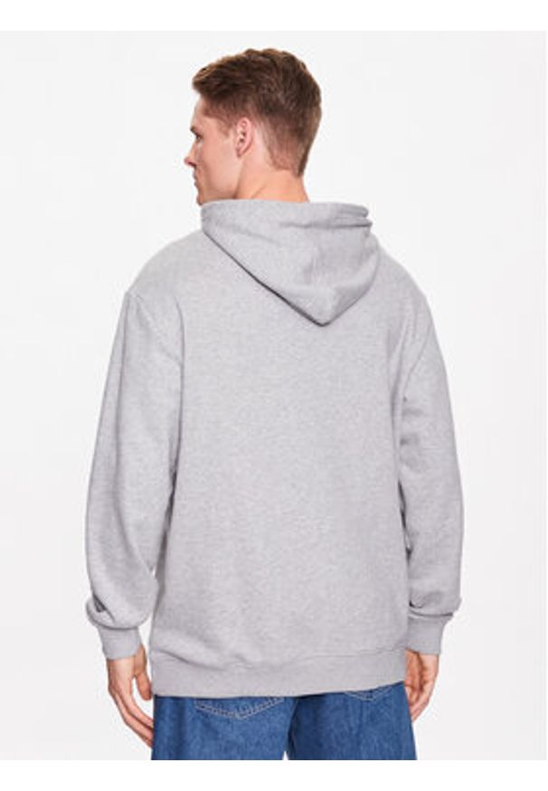 DC Shoes Bluza ADYSF03099 Szary Regular Fit. Kolor: szary. Materiał: bawełna