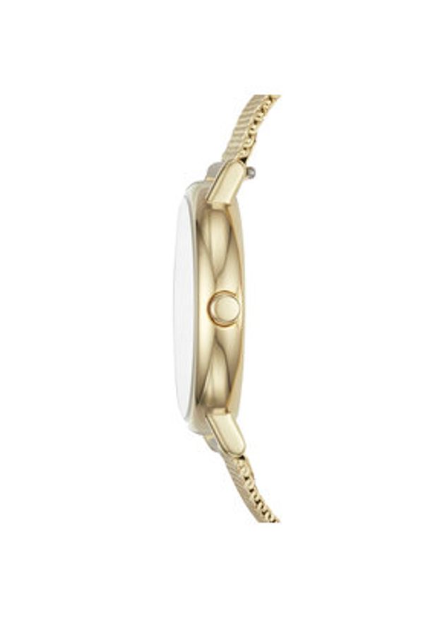Skagen Zegarek Signatur SKW2693 Złoty. Kolor: złoty