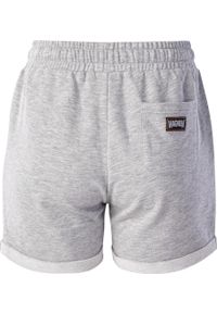 Spodenki treningowe damskie Magnum Caprea Shorts. Kolor: szary. Materiał: dresówka