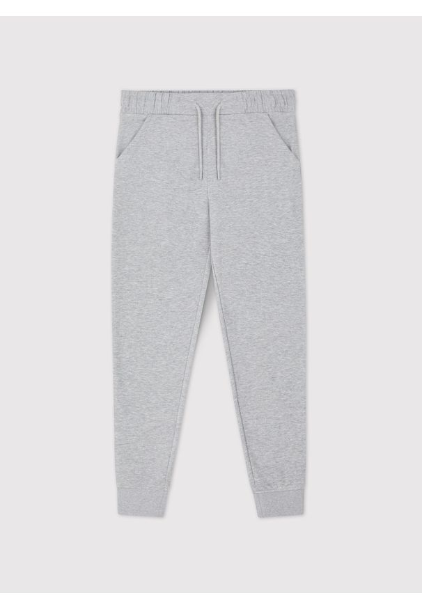 Pako Lorente - PAKO LORENTE - Szare spodnie dresowe. Okazja: na co dzień. Kolor: szary, niebieski. Materiał: dresówka. Wzór: gładki. Styl: casual