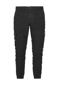 Tommy Jeans Spodnie materiałowe DM0DM22003 Szary Regular Fit. Kolor: szary. Materiał: bawełna