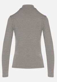 Born2be - Szara Bluzka Golf Typu Longsleeve Altera. Okazja: na co dzień, do pracy. Typ kołnierza: golf. Kolor: szary. Materiał: jeans. Długość rękawa: długi rękaw. Styl: casual, elegancki #4