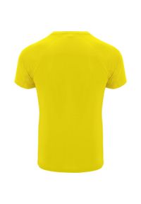 ROLY - Męska Koszulka Sportowa Z Krótkim Rękawem Bahrain. Kolor: żółty. Długość rękawa: krótki rękaw. Długość: krótkie. Sport: turystyka piesza