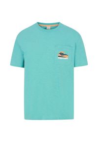 Protest - T-Shirt męski PROTEST PRTJake. Kolor: niebieski. Sport: turystyka piesza #1