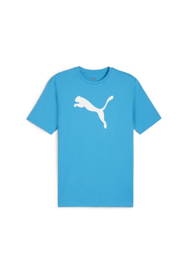 Koszulka męska Puma Team Rise Logo Jersey Cotton. Kolor: niebieski, wielokolorowy, biały. Materiał: jersey. Sport: fitness, piłka nożna