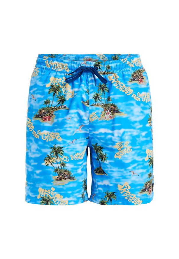 Quiksilver - Szorty kąpielowe dla Mężczyzn EVERYDAY STRAIGHT VOLLEY 17" Niebieski. Kolor: niebieski. Materiał: poliester, materiał. Styl: sportowy