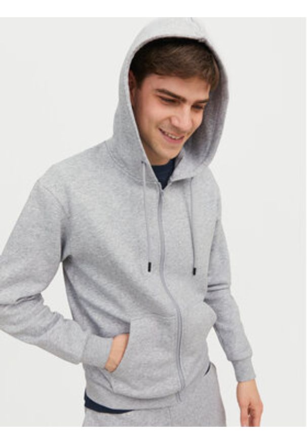 Jack & Jones Bluza Bradley 12249342 Szary Relaxed Fit. Kolor: szary. Materiał: syntetyk, bawełna