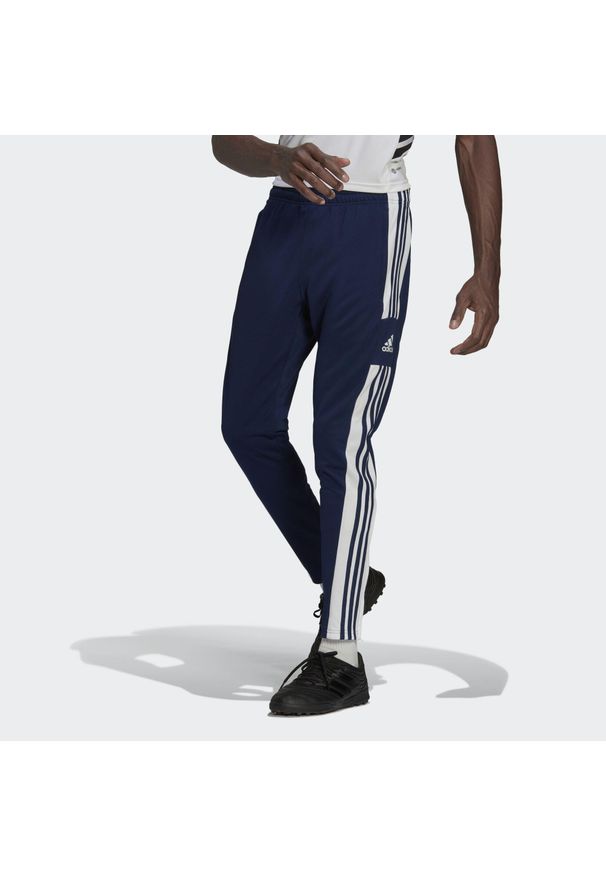 Adidas - Spodnie piłkarskie męskie adidas Squadra 21 Training Pant. Kolor: biały, wielokolorowy, niebieski. Sport: piłka nożna