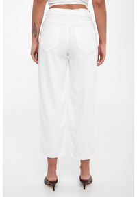 Pinko - Jeansy damskie Estelle PINKO #2