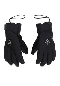 DC Shoes Rękawice narciarskie Franchise ADYHN03030 Czarny. Kolor: czarny. Materiał: poliester. Sport: narciarstwo #1