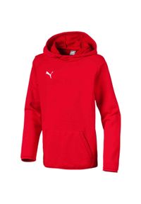 Puma Kaptui 128 - Miękka bawełniana bluza z kapturem dla dzieci. Typ kołnierza: kaptur. Kolor: wielokolorowy. Materiał: bawełna