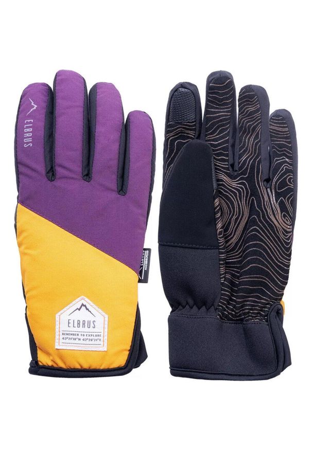 Rękawice zimowe damskie Elbrus Pointe. Kolor: wielokolorowy. Sezon: zima. Sport: turystyka piesza