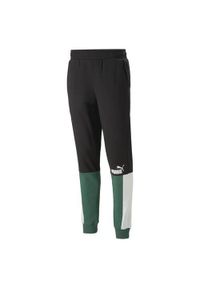 Spodnie sportowe męskie Puma Ess Block Sweatpants. Kolor: czarny. Materiał: dresówka
