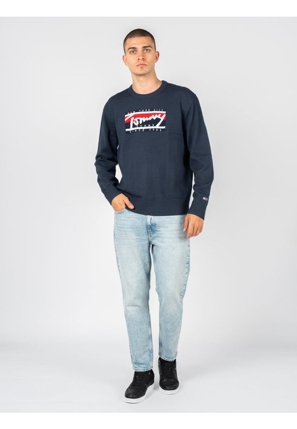 TOMMY HILFIGER - Tommy Jeans Sweter | DM0DM13045 | Mężczyzna | Granatowy. Okazja: na co dzień. Kolor: niebieski. Materiał: poliester, akryl. Wzór: ze splotem. Styl: casual