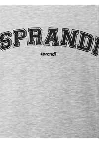 Sprandi Bluza SP3-BLM042 Szary Regular Fit. Kolor: szary. Materiał: bawełna #3