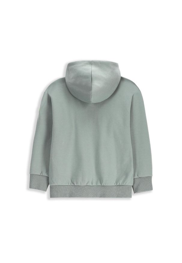 Lemon Explore - Bluza sportowa dziecięca Lemon Exlopre WL5 rozpinana. Typ kołnierza: kaptur. Kolor: zielony. Materiał: bawełna, poliester. Wzór: aplikacja