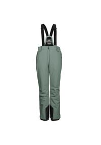 Damski kombinezon narciarski Killtec KSW 249 Erielle. Kolor: wielokolorowy, szary, zielony. Sezon: zima. Sport: narciarstwo #1