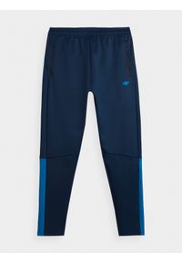 4f - Spodnie treningowe szybkoschnące męskie. Kolor: niebieski. Materiał: dzianina, włókno, materiał