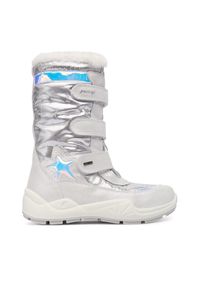 Śniegowce Primigi. Kolor: srebrny #1