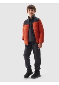 4f - 4F Kurtka puchowa z wypełnieniem syntetycznym chłopięca - czerwona 122 (6-7 lat). Okazja: na co dzień. Typ kołnierza: kołnierzyk stójkowy. Kolor: czerwony. Materiał: syntetyk, puch. Długość: długie. Wzór: gładki. Sezon: lato. Styl: klasyczny, casual, sportowy #2