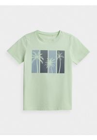 4f - T-shirt z nadrukiem chłopięcy. Materiał: bawełna, dzianina, materiał. Wzór: nadruk