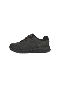 Sneakersy Whistler Sawyer. Kolor: szary. Styl: sportowy. Sport: turystyka piesza