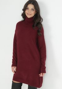Born2be - Bordowa Sukienka Dzianinowa Classificator. Okazja: na co dzień. Typ kołnierza: golf. Kolor: czerwony. Materiał: dzianina. Długość rękawa: długi rękaw. Sezon: zima, jesień. Typ sukienki: proste. Styl: casual #6