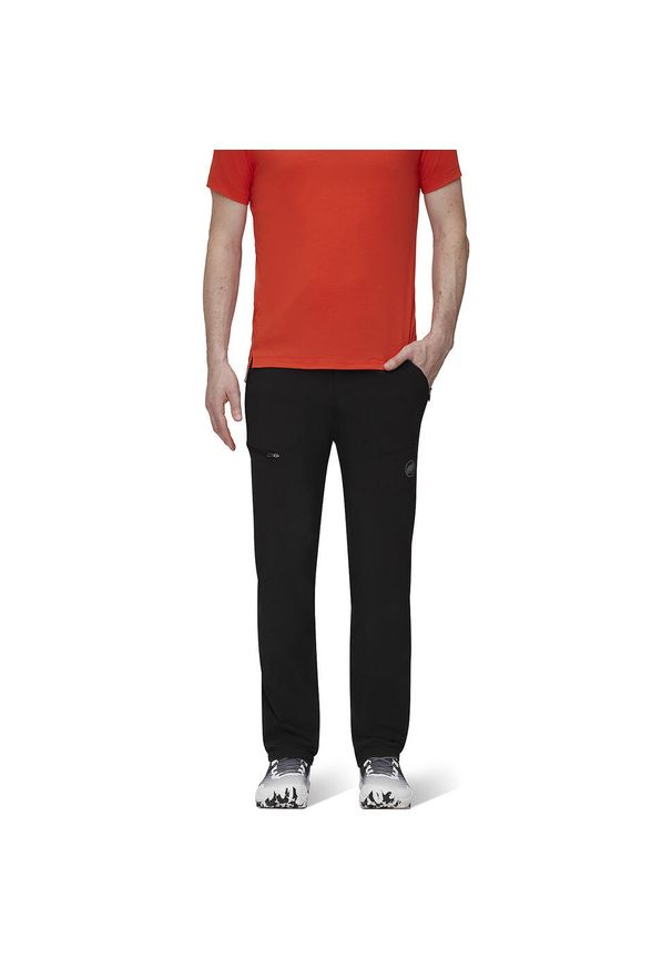 Spodnie turystyczne męskie Mammut Runbold Pants. Kolor: wielokolorowy, czarny, szary