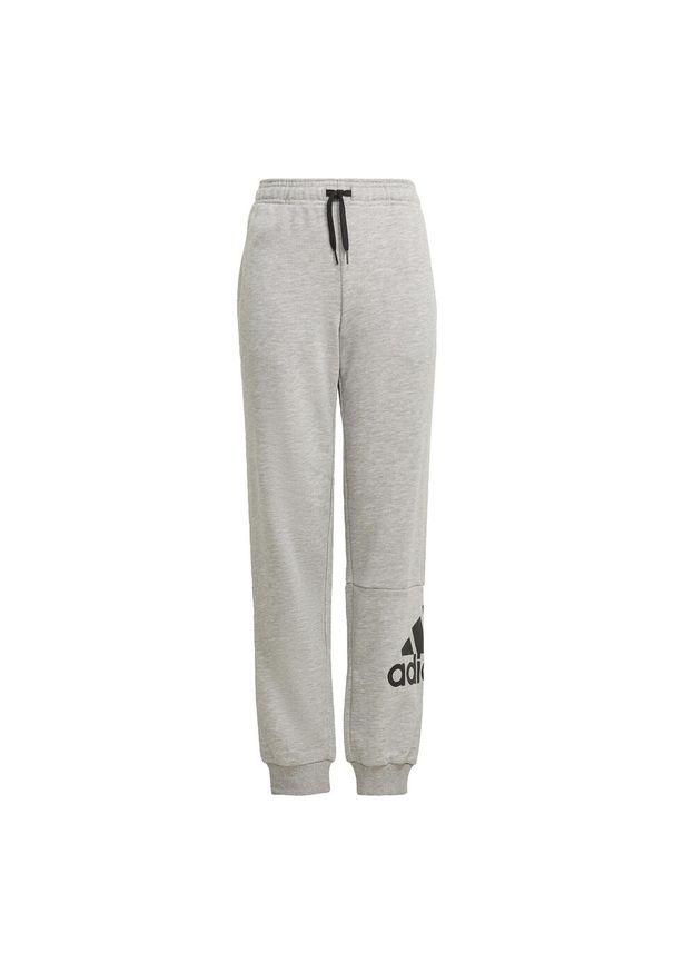Adidas - Spodnie dziecięce adidas Essentials Big Logo. Kolor: czarny, szary, wielokolorowy. Sport: joga i pilates
