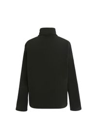 Regatta - Męska Bluza Polarowa Ascender. Kolor: szary, czarny, wielokolorowy. Materiał: polar. Sezon: zima. Styl: sportowy. Sport: turystyka piesza #2