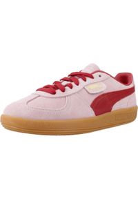 Tenisówki Puma Model Palermo Kolor Rose. Kolor: fioletowy, różowy, wielokolorowy, czerwony. Materiał: tkanina
